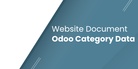 Website Document Odoo Category Data