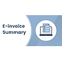 E-invoice Summary